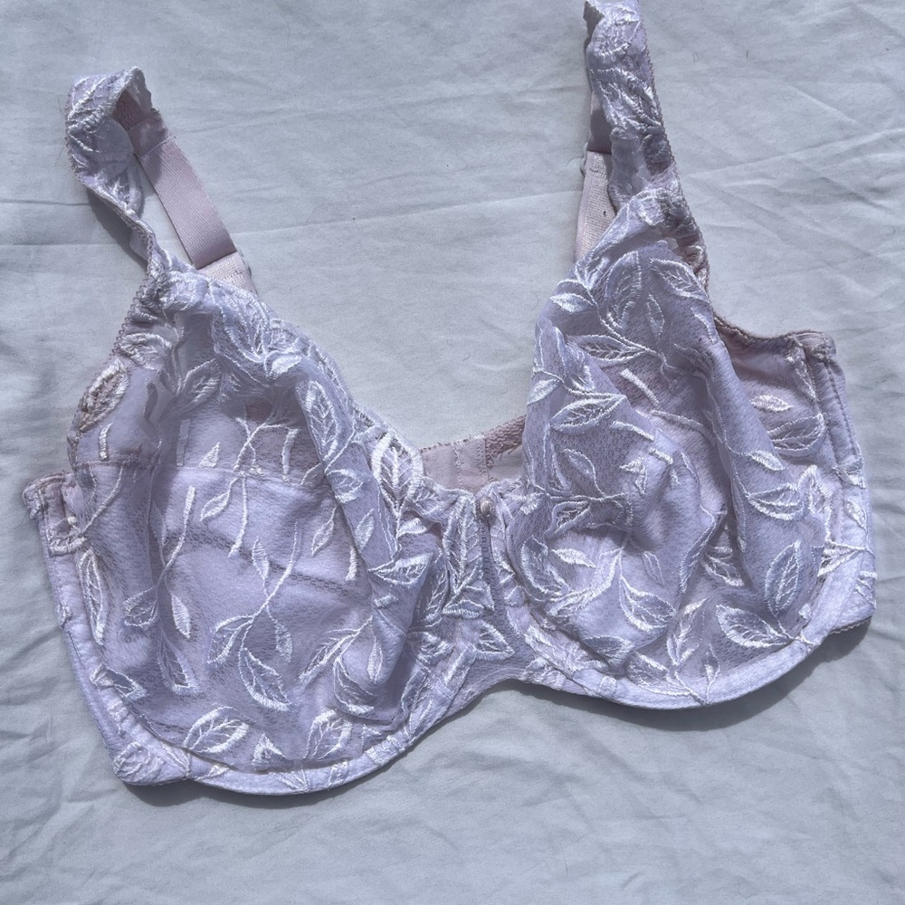 Embroidered White lace bra
